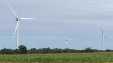 Marble River Wind Farm Turbines, cornfield, trees